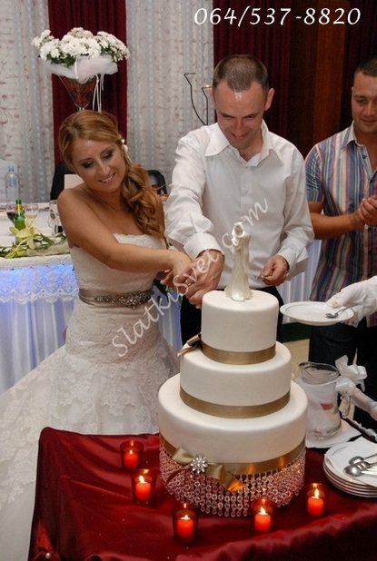 VanjinSlatkiSvetTorte drugari261