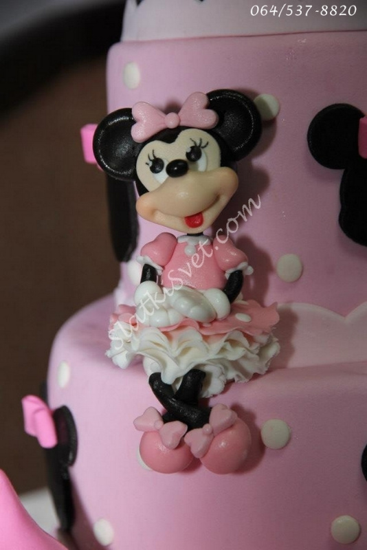 VanjinSlatkiSvetTorte drugari271