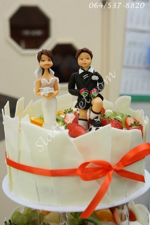 VanjinSlatkiSvetTorte drugari35