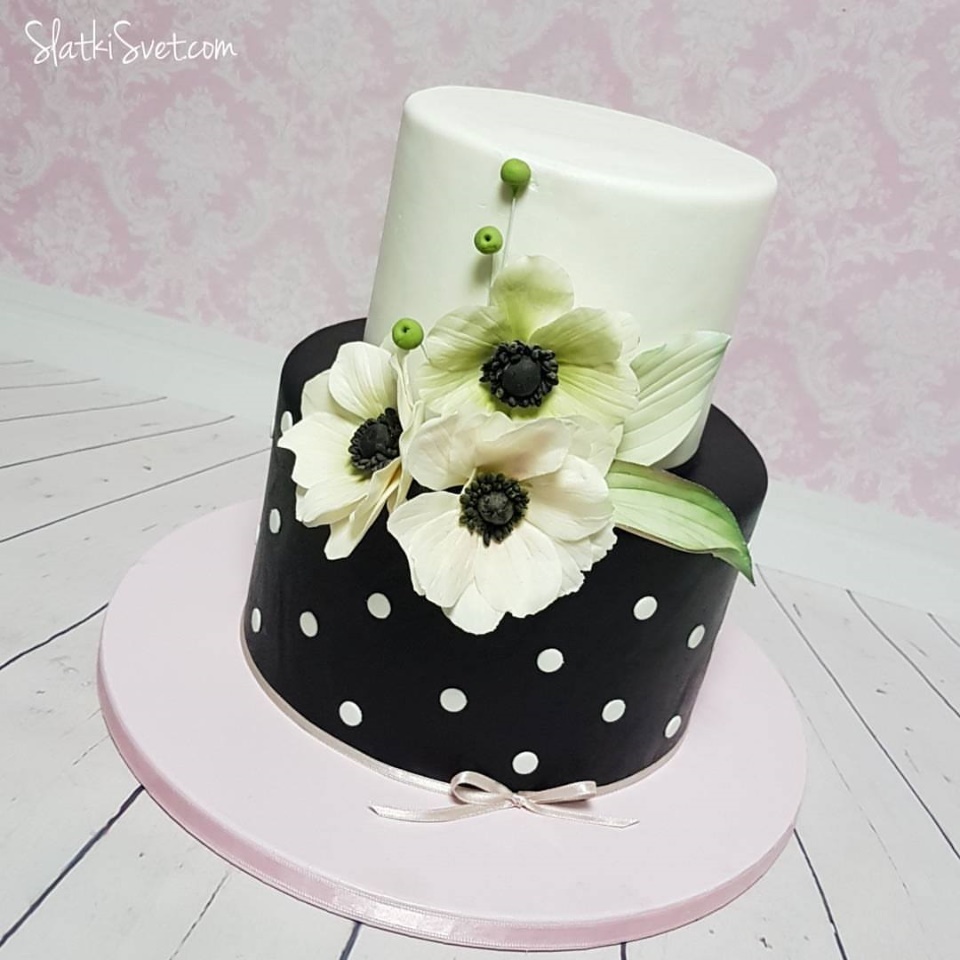 22050919 1519676808110415 3382953113282171205 o