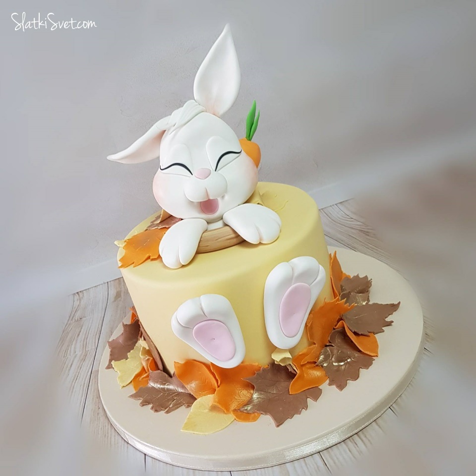 25073143 1607635712647857 5141441216902195782 o