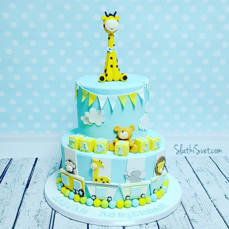 Najlepse torte za prvi rodjendan2018 004